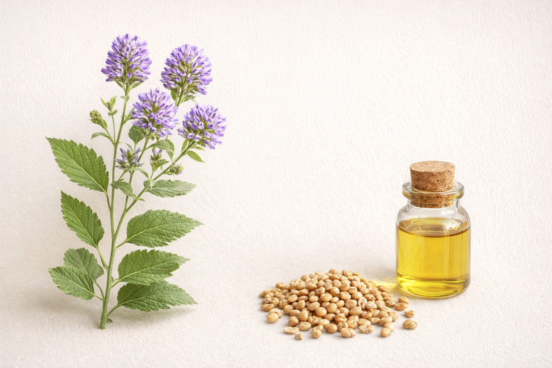 Bakuchiol: A Gentler Way to Support Skin Renewal